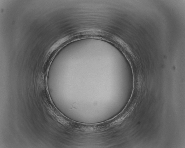 X0000082680970200702091628