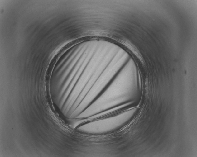 X0000082680972200702091628