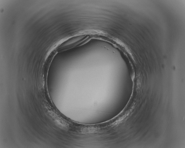 X0000082680973200702091628