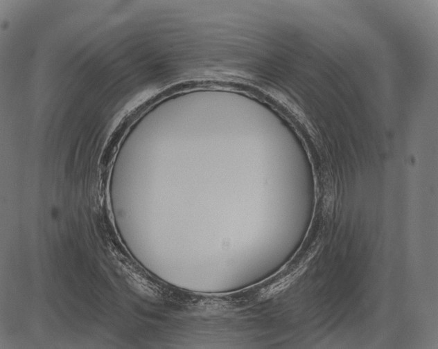 X0000082680974200702091628