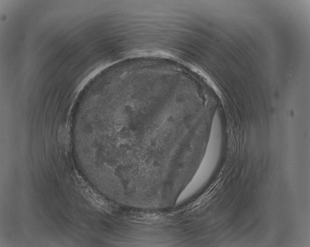 X0000082680975200702091628