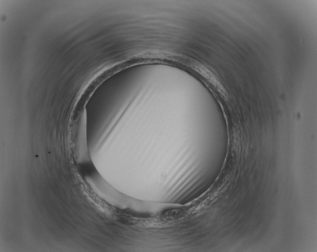 X0000082680976200702091628