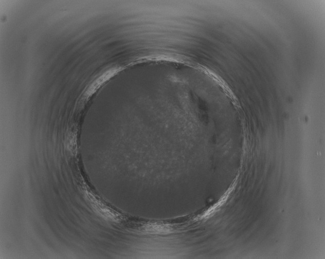 X0000082680977200702091628