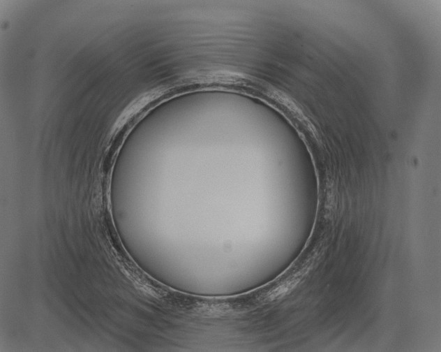 X0000082680978200702091628