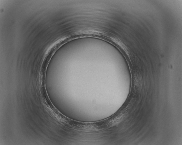 X0000082680979200702091628