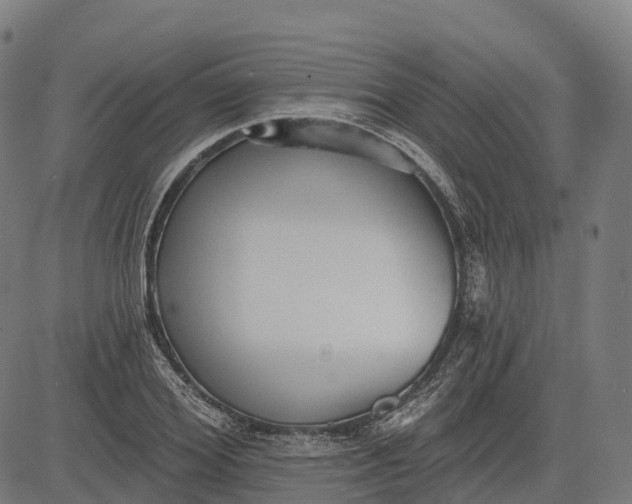 X0000082680980200702091628