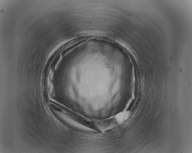 X0000082680983200702091628