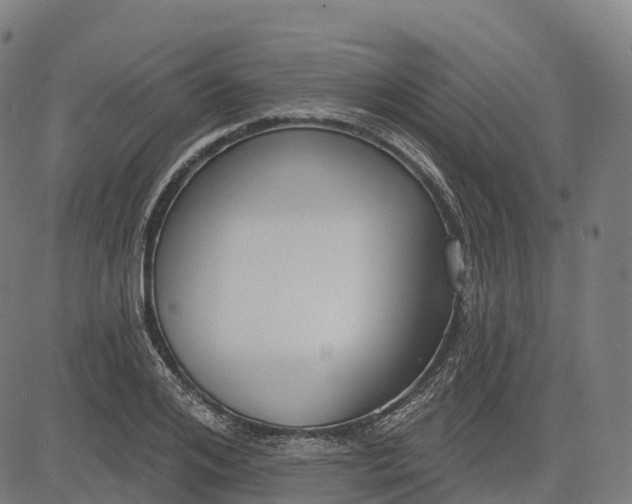 X0000082680984200702091628