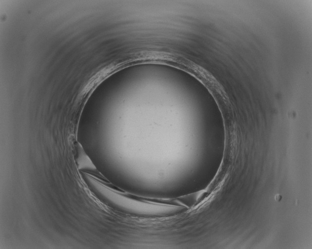 X0000082680985200702091628