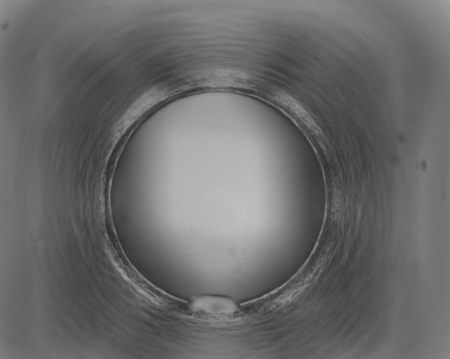 X0000082680986200702091628