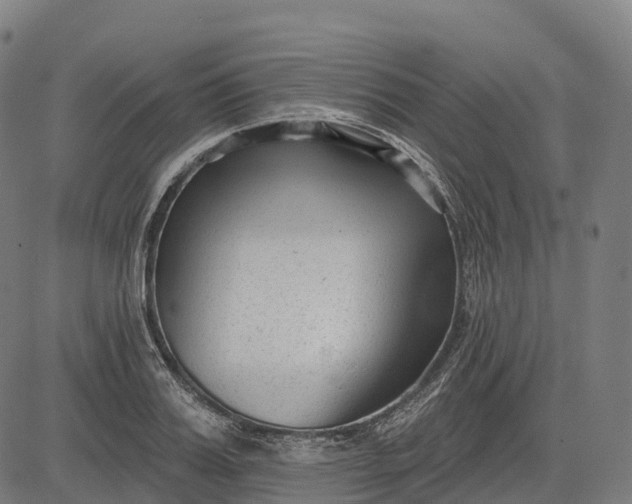 X0000082680987200702091628