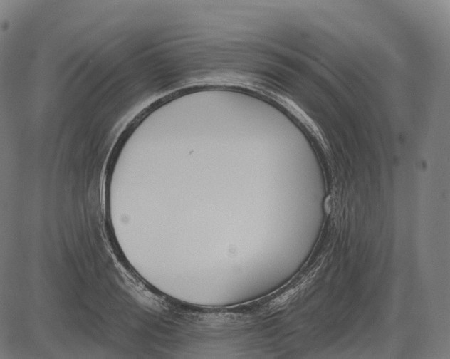 X0000082680988200702091628