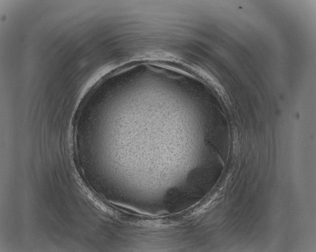 X0000082680990200702091628