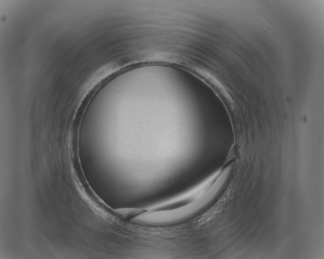 X0000082680991200702091628