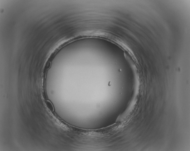 X0000082680992200702091628