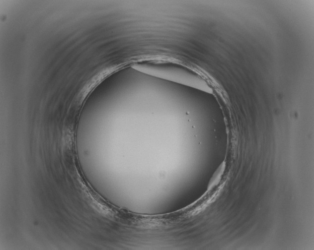 X0000082680993200702091628