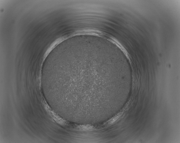 X0000082680994200702091628