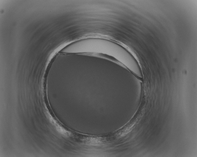 X0000082680995200702091628