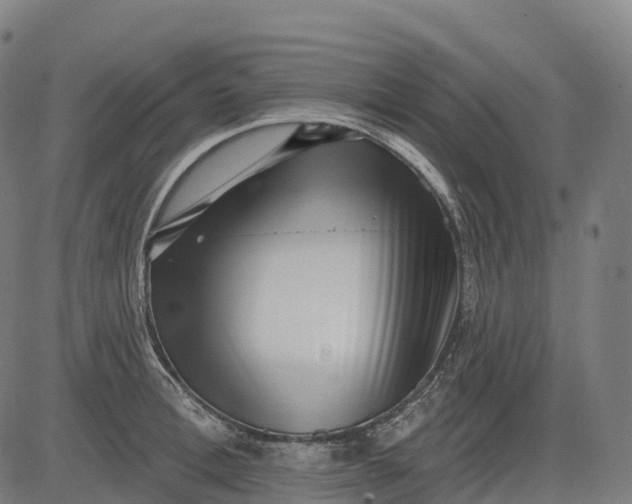 X0000082680996200702091628