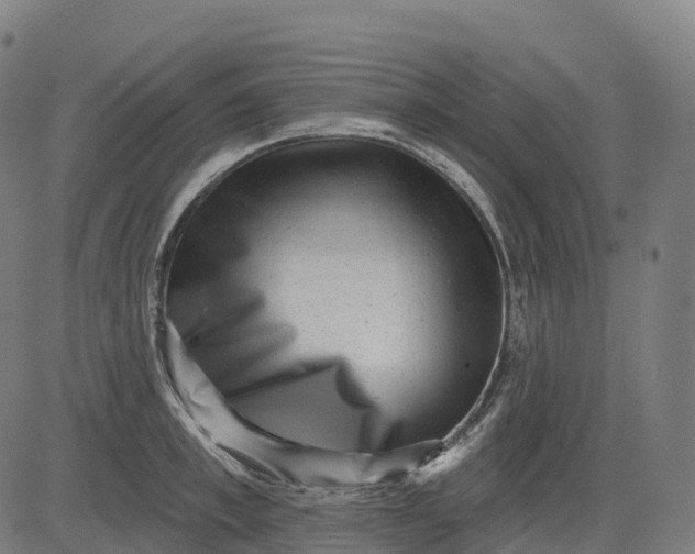 X0000082680997200702091628