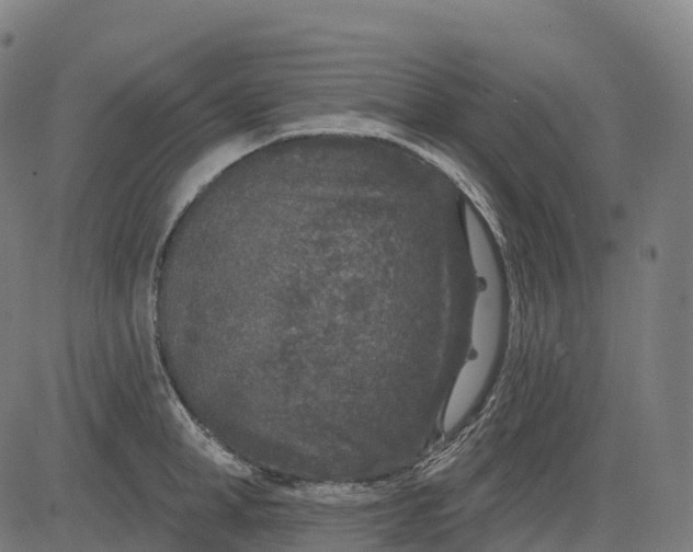 X0000082680998200702091628