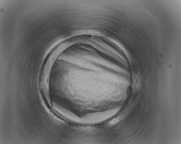 X0000082680999200702091628