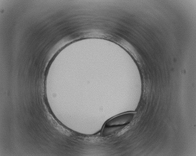 X0000082681000200702091628