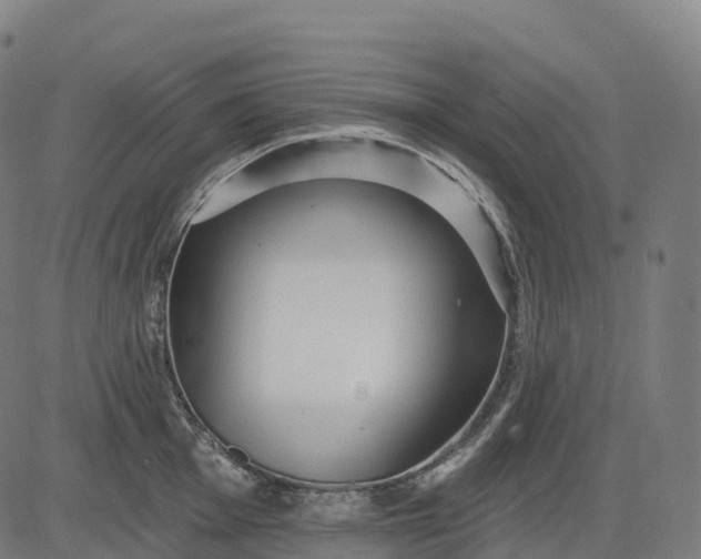 X0000082681001200702091627