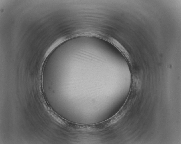 X0000082681002200702091627