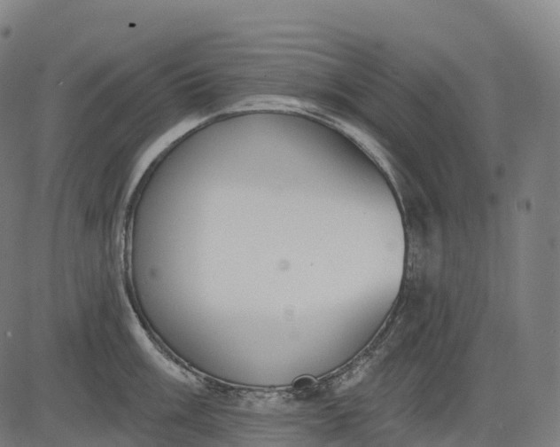 X0000082681003200702091627