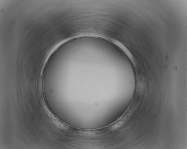 X0000082681004200702091627