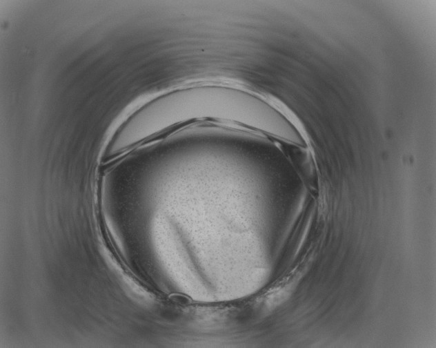 X0000082681005200702091627