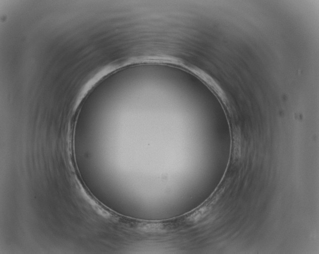 X0000082681006200702091627