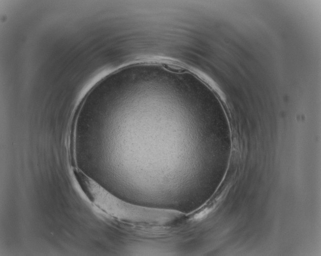 X0000082681007200702091627