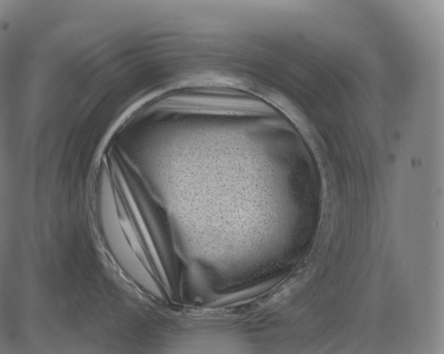 X0000082681008200702091627