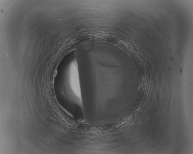 X0000082681009200702091627