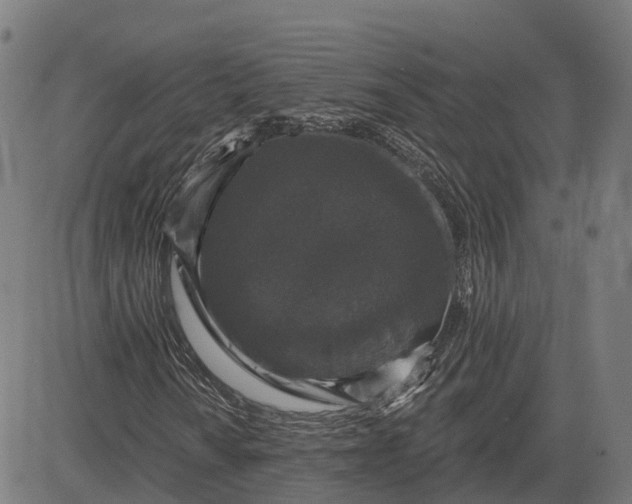 X0000082681010200702091627