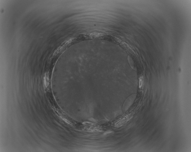 X0000082681011200702091627