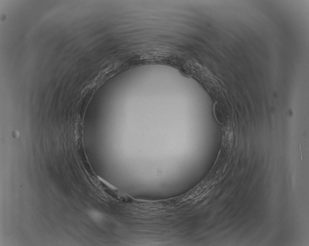 X0000082681012200702091627