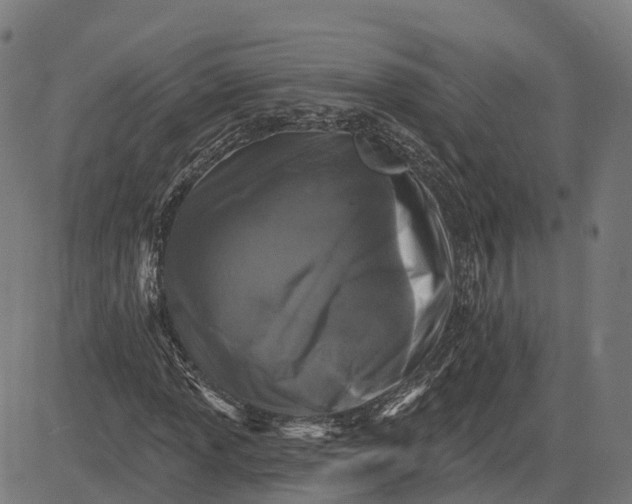 X0000082681013200702091627