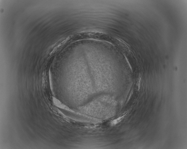 X0000082681014200702091627