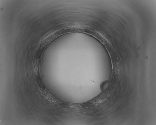 X0000082681015200702091627