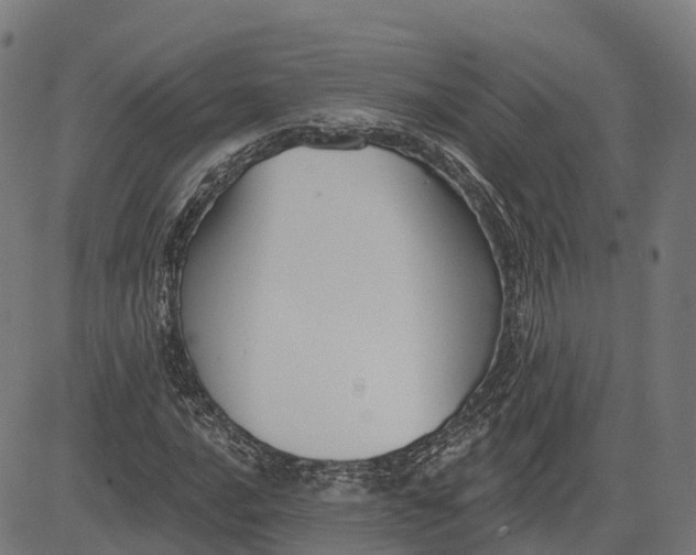 X0000082681016200702091627