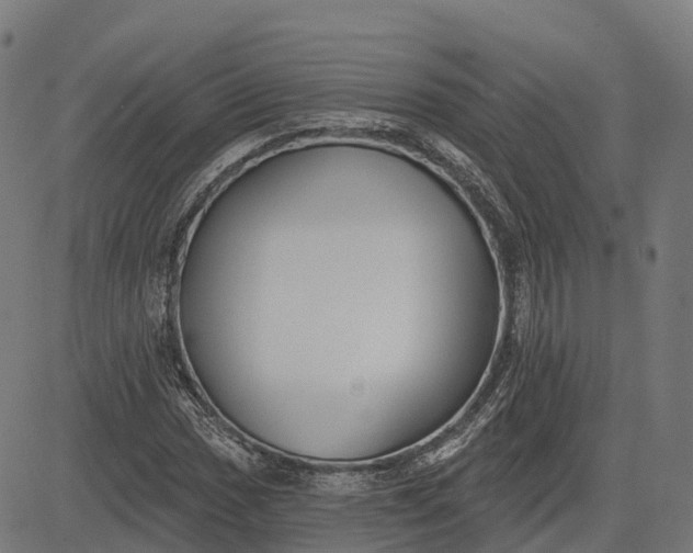 X0000082681017200702091627