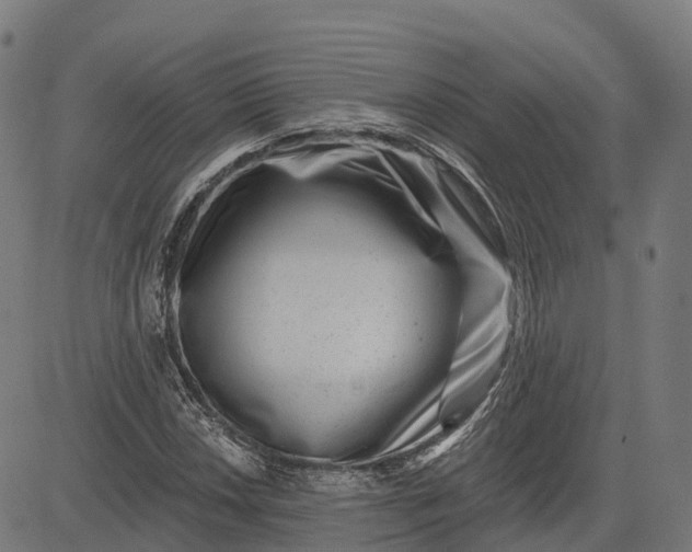 X0000082681018200702091627