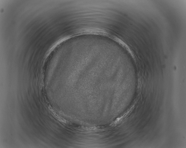 X0000082681019200702091627