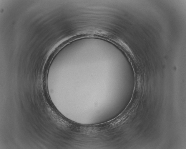 X0000082681020200702091627