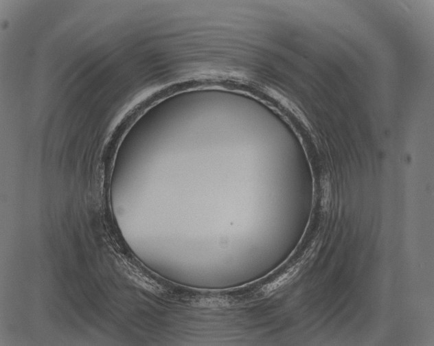 X0000082681021200702091627