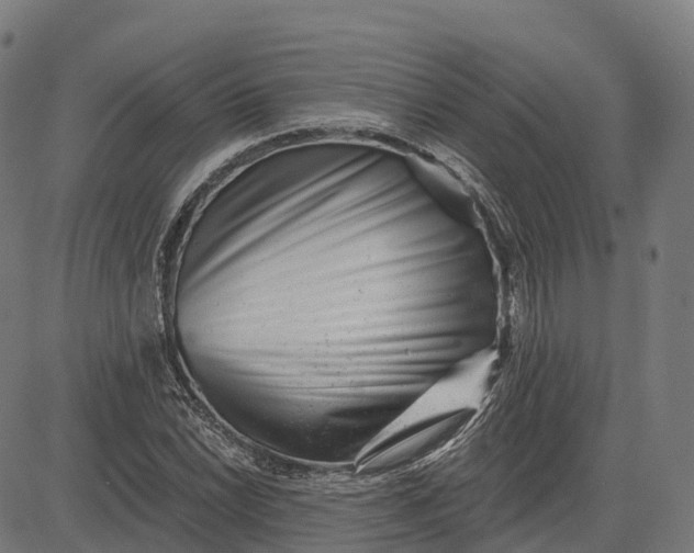 X0000082681022200702091627