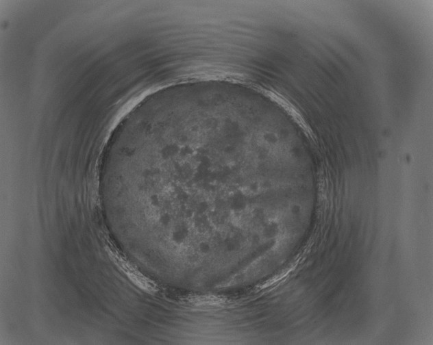 X0000082681023200702091627